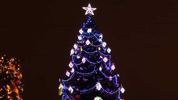 В Брянске на площади Партизан разграбили новогоднюю елку