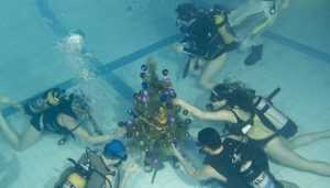 Брянских ныряльщиков пригласили на праздник подводной ёлки