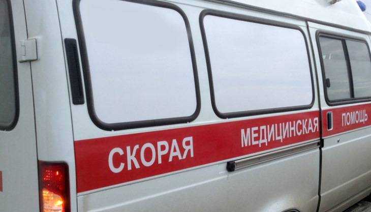 Под Брянском в ДТП с участием микроавтобуса пострадали семь человек