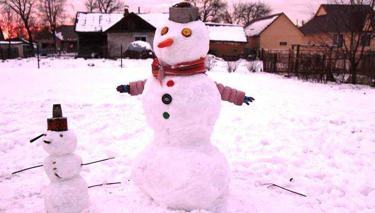 Брянские снеговики сразятся за победу в зимнем конкурсе