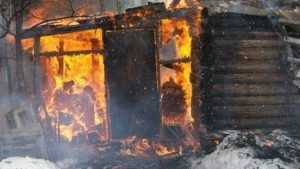 В брянском селе сгорела двухлетняя девочка