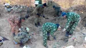 Тульские поисковики обнаружили останки брянского красноармейца