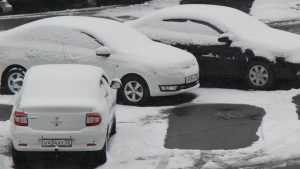 Брянских водителей попросили стать на прикол в связи со снегопадами
