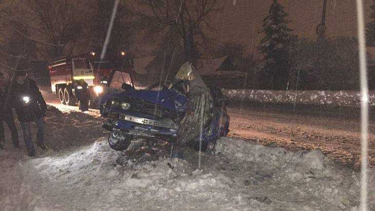 В Брянске Тузик спровоцировал аварию с BMW 