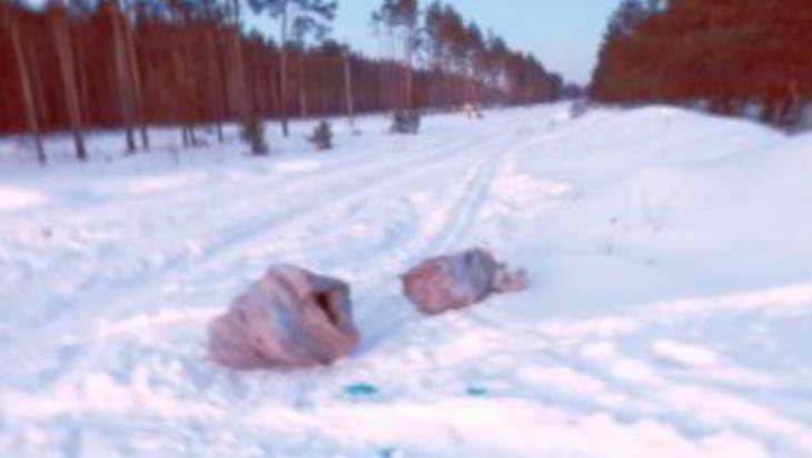УМВД: в найденных на окраине Брянска мешках были трупы лис