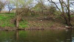 Брасовский водоканал уличили в загрязнении брянской реки