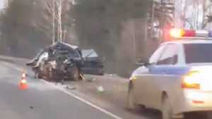 Опубликовано видео жуткой катастрофы на брянской трассе