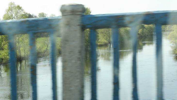 В Брянске начнут ремонт Литейного моста