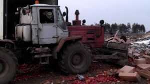 На брянской границе уничтожили 51 тонну овощей и фруктов