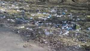 В Брянске нашли мусорный тупик