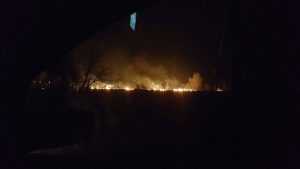 Спасатели потушили опасный пожар под Брянском