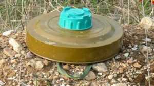 Возле брянского села обнаружили две мины