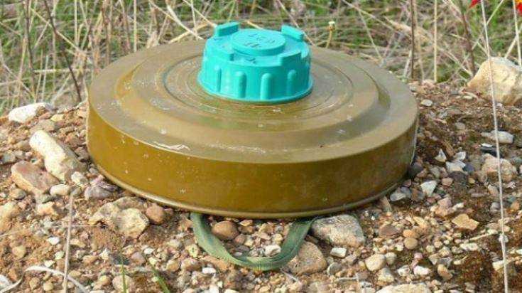 Возле брянского села обнаружили две мины