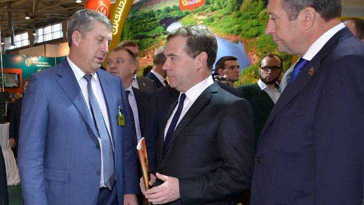 Брянские депутаты не стали нападать на главу правительства Дмитрия Медведева