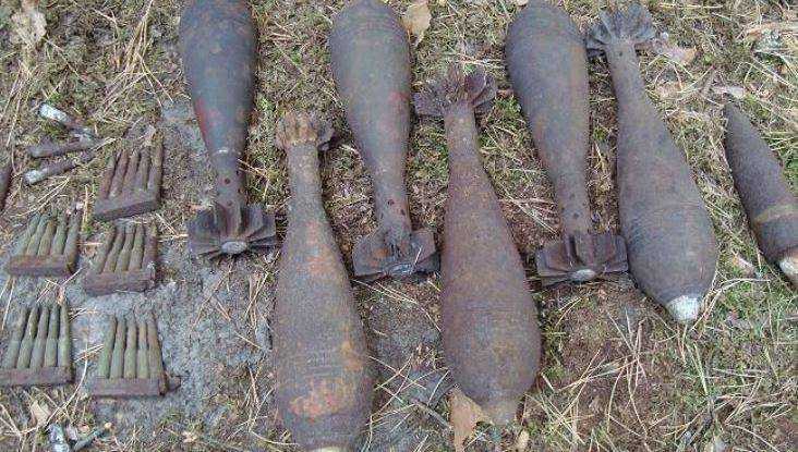 В брянском поле обнаружили две гранаты и 35 мин
