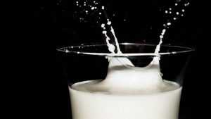 В Брянске нашли огромное количество поддельного молока и сметаны