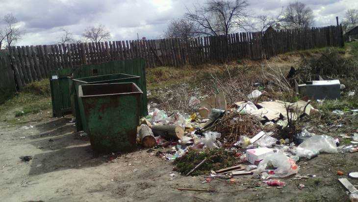 В брянские районы  с закрытием полигонов пришла мусорная напасть