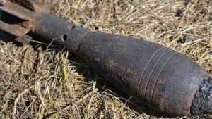 В Брянске возле посёлка Большое Полпино обнаружили мину