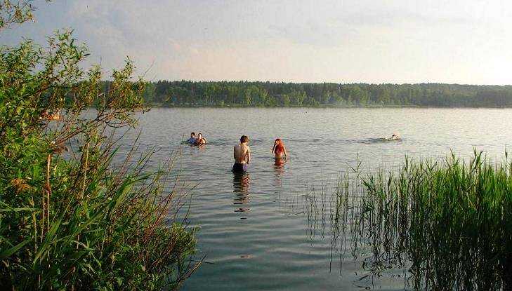 В Новозыбкове заметили купавшихся в холодную погоду брянцев