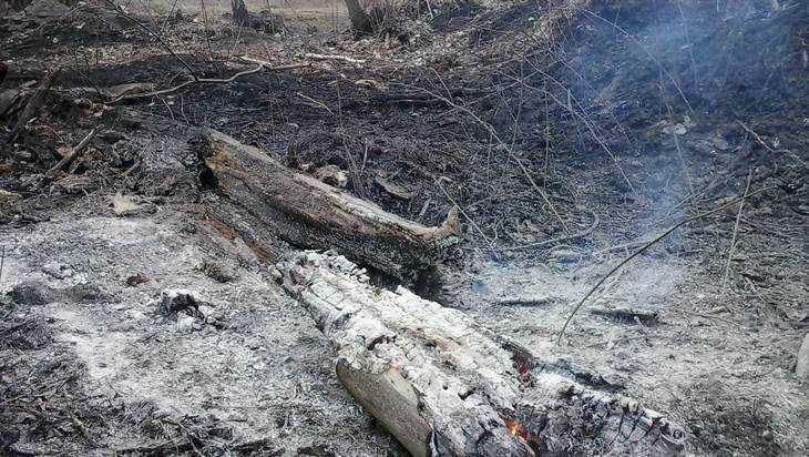 В Злынковском районе с помощью «Лесного дозора» увидели торфяной пожар