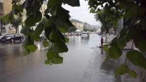 На Брянскую область 24 мая обрушатся дожди и грозы