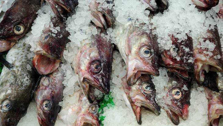Белоруссия наводнила российский рынок рыбой