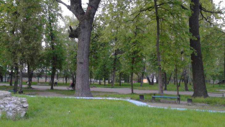 Власти Брянска закроют Майский парк для автомобилей