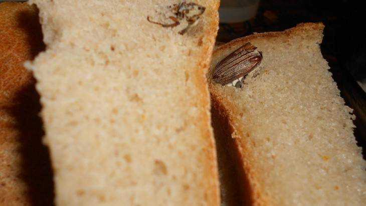 В сети опубликовали фото брянского хлеба с удивительной начинкой