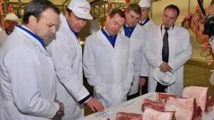 Брянское сельское хозяйство выросло за счет производителей мяса