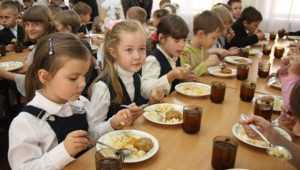 В Брянске чиновники предложили лишить школьников 7-рублевых обедов