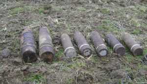 В брянском поле обнаружили три снаряда и пять мин
