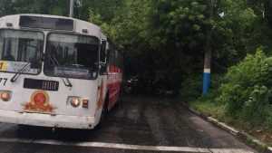 В Брянске во время ливня дерево упало на троллейбус
