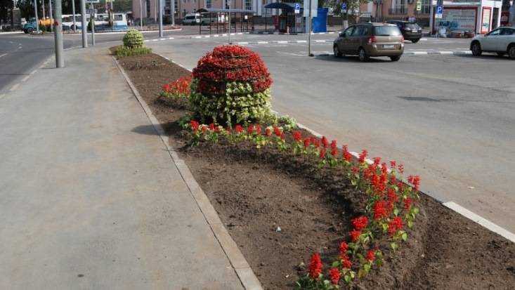 Площадь у железнодорожного вокзала Брянск-I украсили шарами из цветов