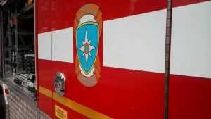 Брянские пожарные спасли от коварного огня поселок Тешеничи