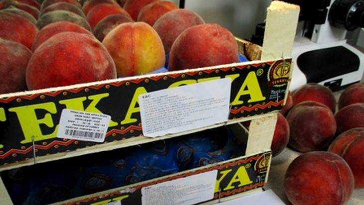 Брянские инспекторы вернули в Турцию 17 тонн  зараженных персиков