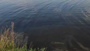 В Брянске в реке Десне утонул 26-летний мужчина