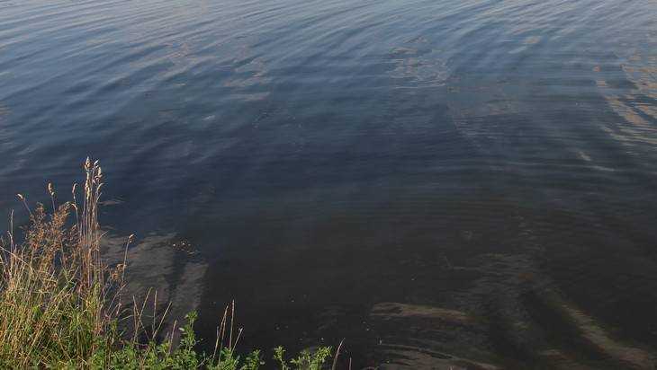 В Брянске в реке Десне утонул 26-летний мужчина