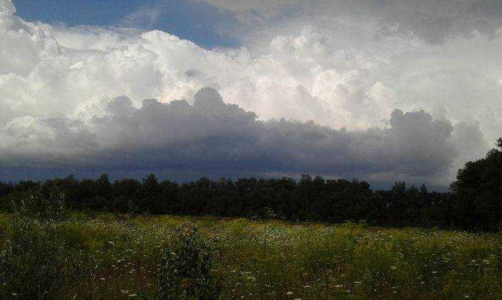 В Брянской области на 12 июля МЧС объявило штормовое предупреждение