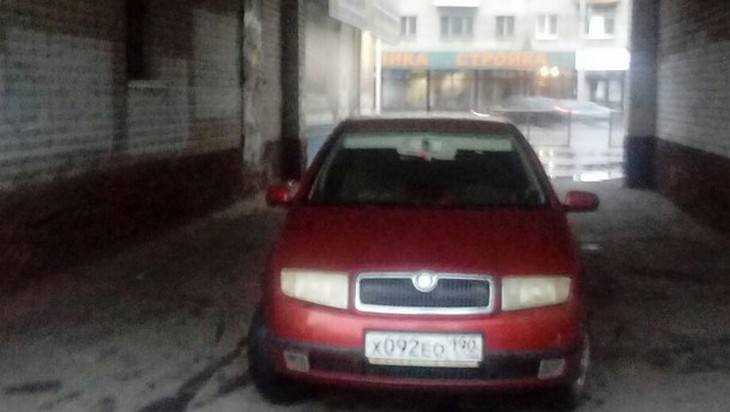 В Брянске дама на зависть удачно перекрыла машиной проезд под аркой