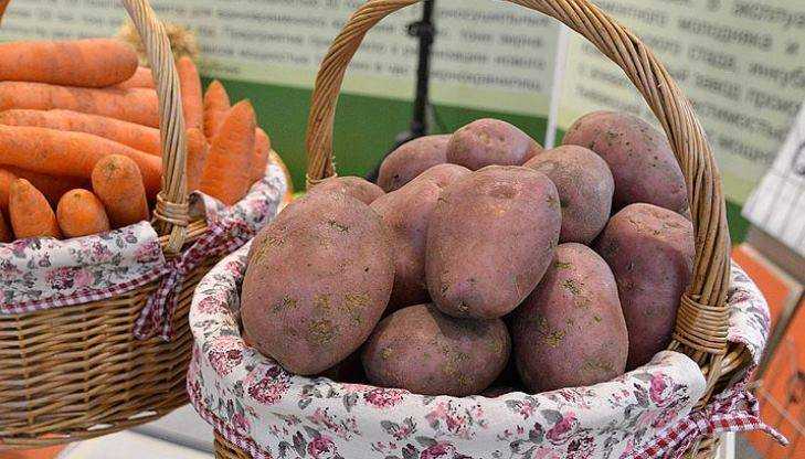 Губернатора возмутило отсутствие в брянских магазинах дешёвой брянской картошки