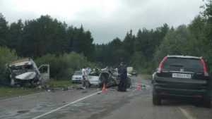 В трагической катастрофе под Брянском погиб 23-летний водитель иномарки