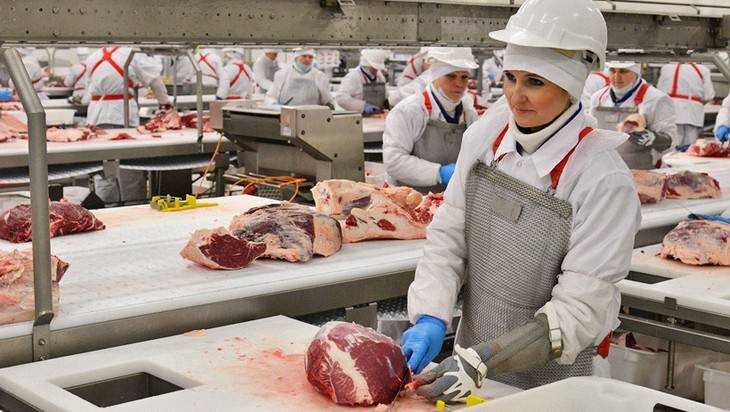 Россия перестала закупать мясо за рубежом