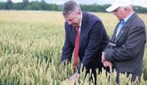 Брянский губернатор предсказал хороший урожай зерновых