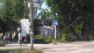 На ошалевших продавцов арбузов в Трубчевске рухнуло дерево