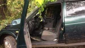 В Брянске разбилась 26-летняя автомобилистка, протаранившая дерево