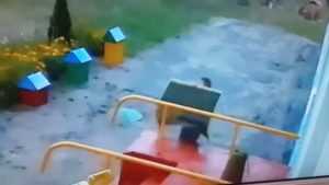 В Новозыбкове сняли видео забавной кражи дивана из детсада