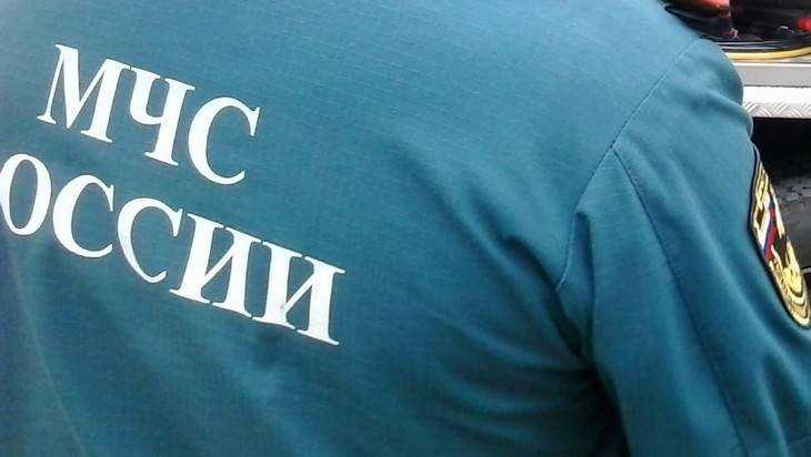 Суд Брянска арестовал пойманного на взятке начальника отделения  ГУ МЧС