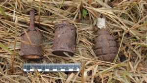 В Белых Берегах обезвредили гранаты, найденные в квартире брянца