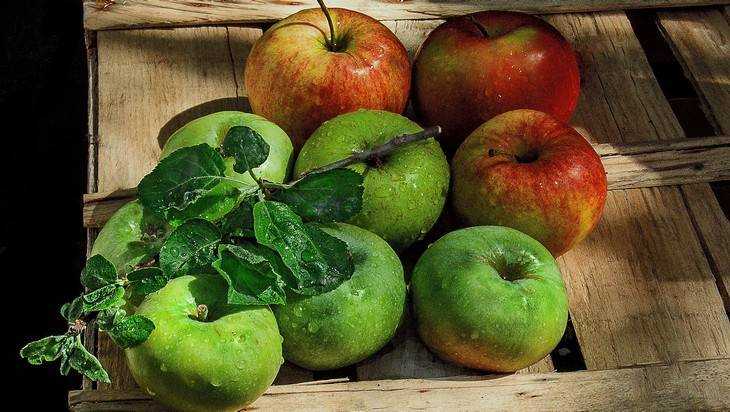 В Брянске пройдет фестиваль «Яблочный Спас»