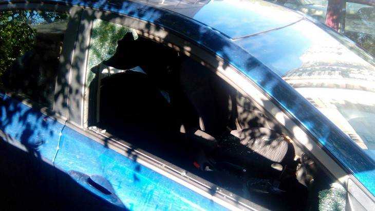 В Брянске разбили стекло и обчистили еще один автомобиль